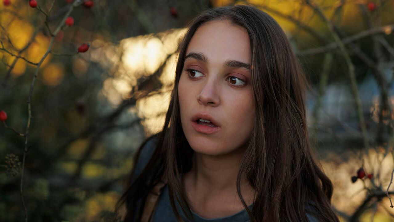 LA FAMILLE ROSE (SAISON 1)